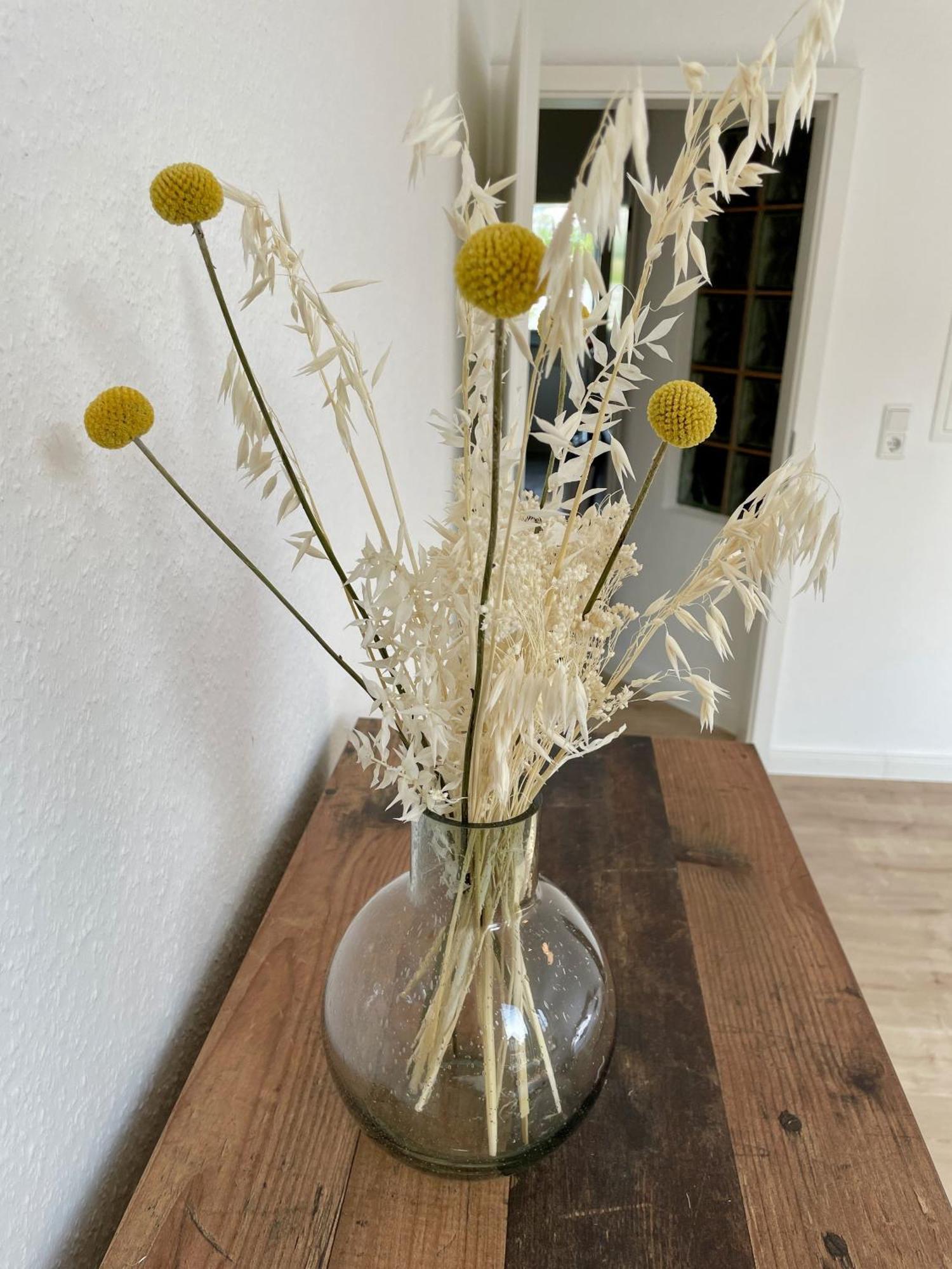 Appartamento Bright Elzer Strasse Hildesheim Esterno foto